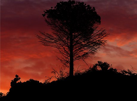 家長對孩子的心理健康教育體會