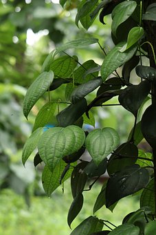 2017北京中考家長萬不可說這6句話