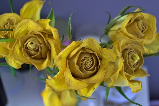 藝考熱持續升溫全因錄取分數線低?