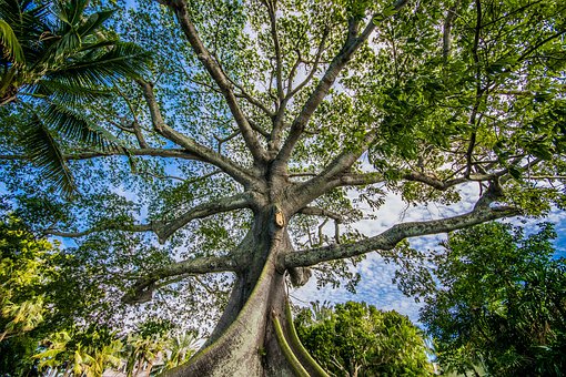 07ˇ�g��������I��ԇ���³��M��߳�