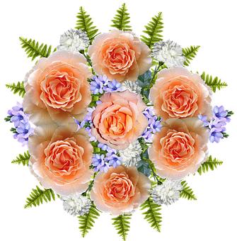 家長必看:四大妙招教你輕松幫孩子復習