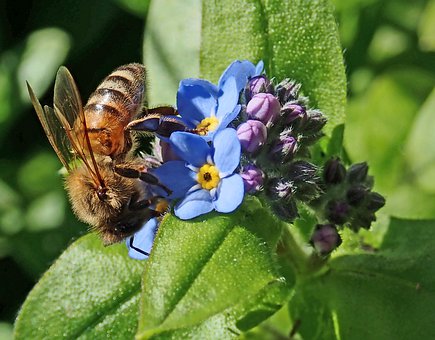 怎樣消除孩子開學恐懼癥?