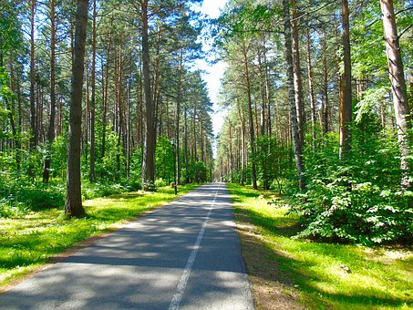 揭開大學那些事:盤點高就業率七大金牌專業