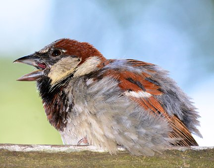 專家提醒:高考考前飲食要注重細(xì)節(jié)