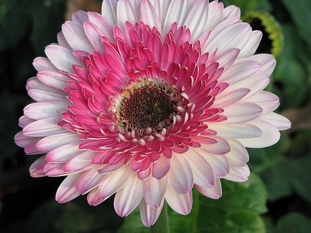 雅思口語考試不要忽略肢體語言和語言的連貫性