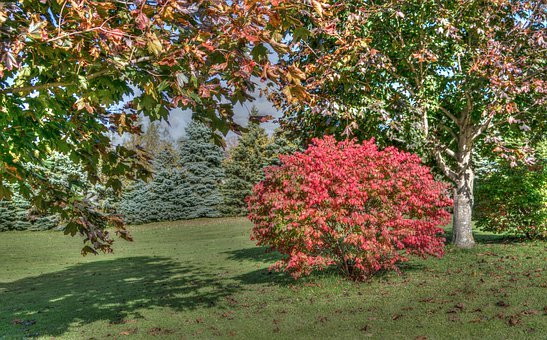 打破校長推薦制度的關鍵在北大