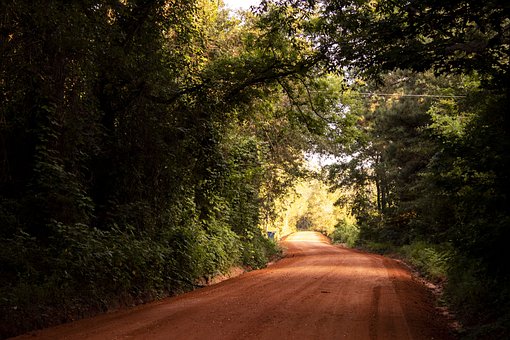 內地高校聯招華僑港澳臺學生3月1日起報名
