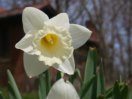 彈琴的右手陋習(不良動作)-自覺檢查