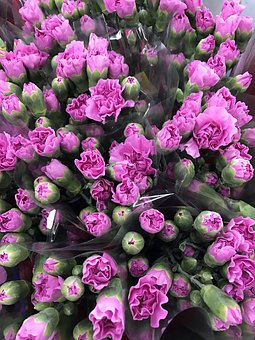 南方科大的發展趨勢