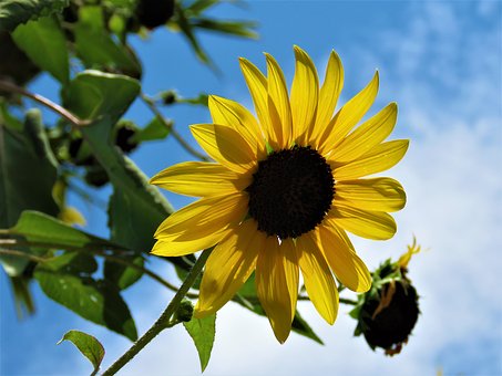 孩子缺乏自信心的表現(xiàn)