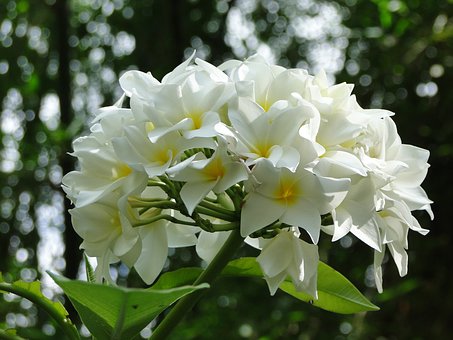 ��W(xu��)���Z(y��)�ļ�(j��)���Z(y��)�����~�R