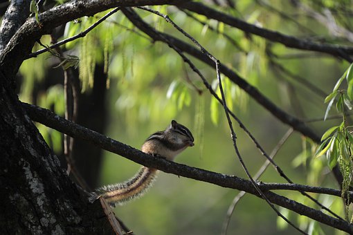 考研過后學生扎堆求職 大學生工資不敵農民工
