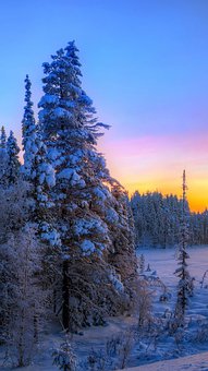 三年級的孩子叛逆期該如何教育引導