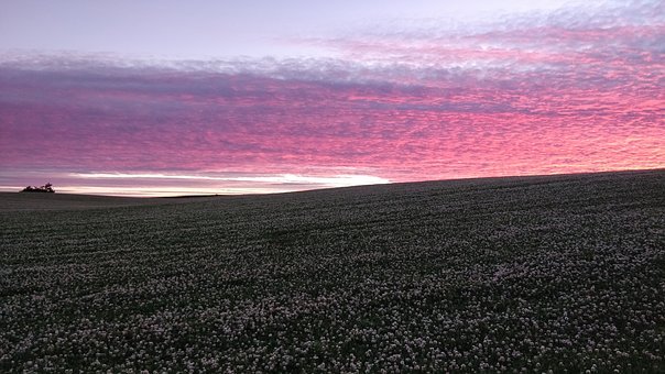 ���L���x����ͥ�����е��߂�����̖