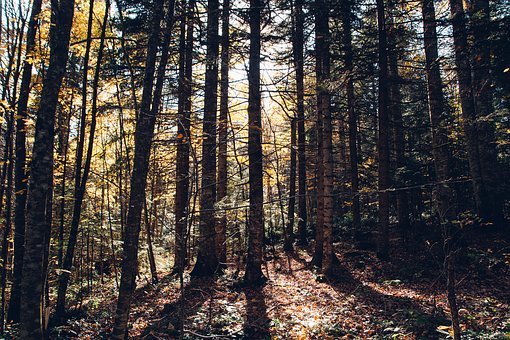 北京中考1月18日起開始網(wǎng)上報(bào)名