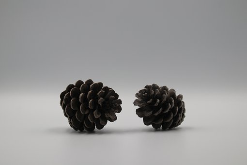 魯迅美術學院介紹