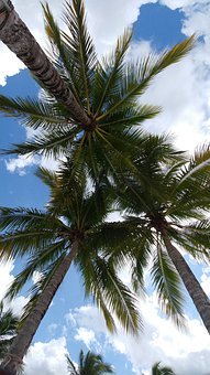 兒子沉迷游戲怎么辦