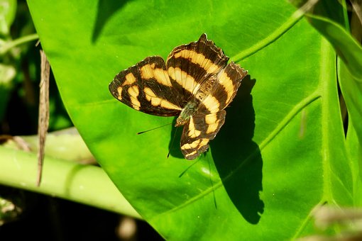 孩子迷上網絡游戲家長該如何解決