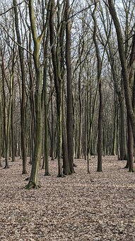 專家:做完作業后要仔細檢查