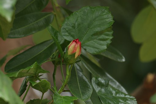 學會和情商高的孩子交流,改變他們的教育思維,會讓孩子更懂事