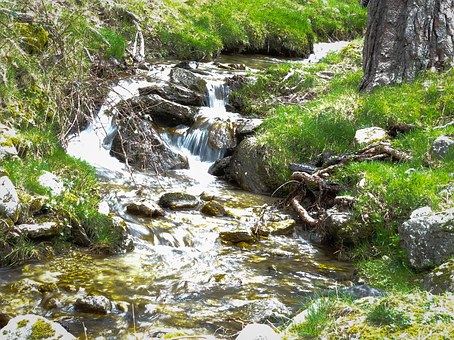 尖子生的十大學(xué)習(xí)方法