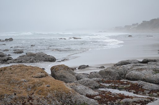 激發(fā)興趣,提高綜合素養(yǎng)