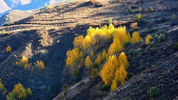 怎樣抓住評分點 提高高考作文得分