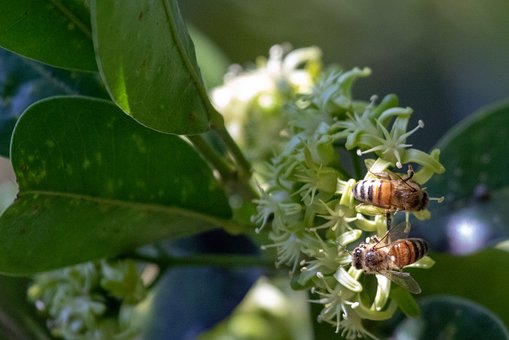 教育的藝術(shù):教師對學(xué)生的處罰與保護(hù)