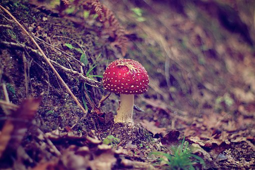 談談對課外輔導認知的個人看法