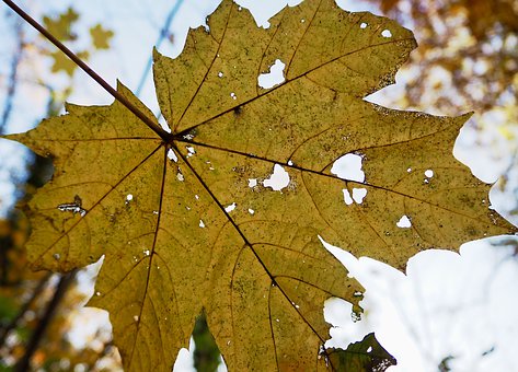 家長與孩子如何正確溝通交流