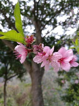 十五六歲的孩子正是叛逆期怎么教育