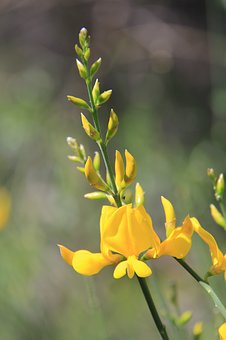 名師談:高考英語復習技巧