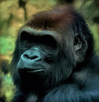 中小學生沉迷手機的原因