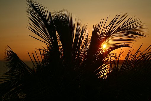 Revision:windows8快捷鍵