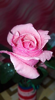 2008�꿼�н����W(xu��)���I(y��)��V���y�c(di��n)��(qu��n)������