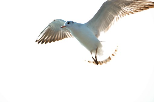 ڵŮǎךq