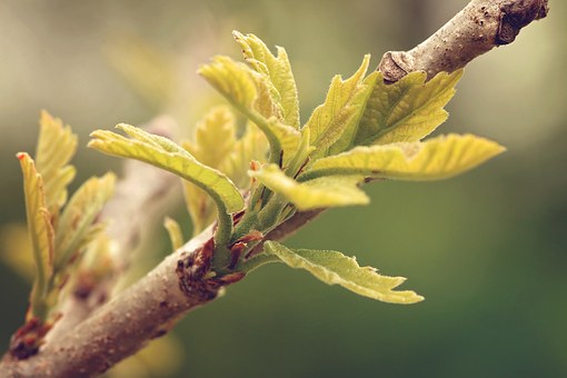 數碼相機攝影技巧