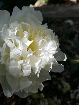 發現初三的孩子談戀愛怎么辦