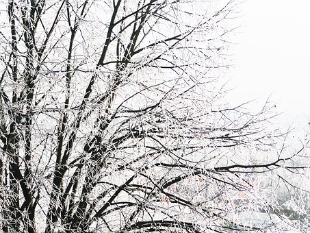 09上海高考作文賞析:非常藝術(shù)與非常眼光