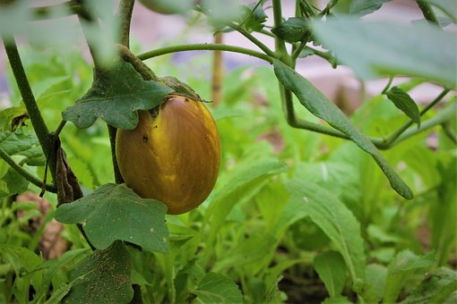 高三下學期不想上學怎么辦