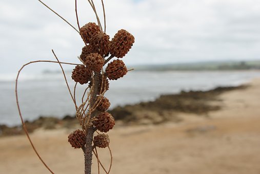 顏之推的家教經驗