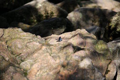 ����x�����������