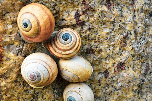 體罰不是教育的主要手段,孩子更不能亂打