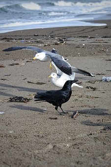 家教分享:孩子成長中家長必須放棄的教育態度