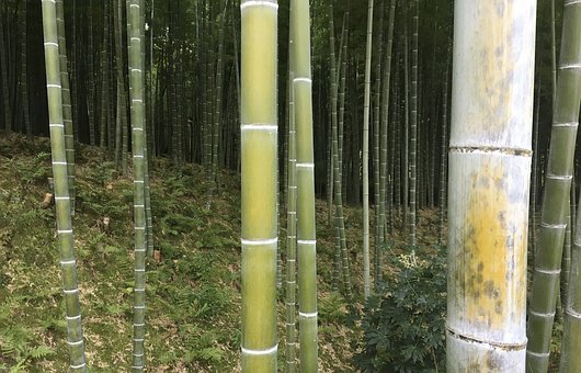 父親對孩子教育的重要性