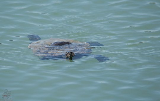 高二暑假最后的五十天:一個準(zhǔn)高三生的實戰(zhàn)安排