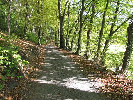 9歲男孩不聽家長管教怎么辦