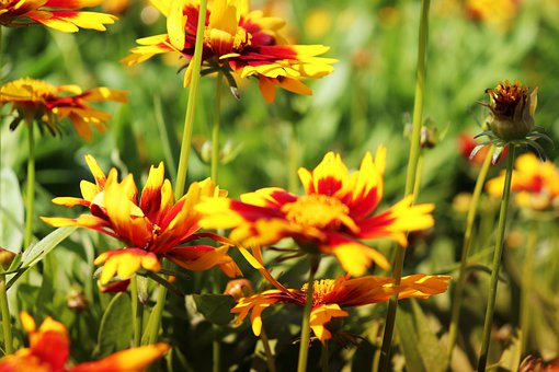 拒絕孩子心理健康問題