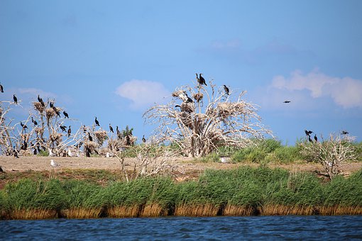 大學(xué)生家教該如何與家長保持信任溝通?