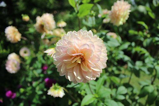 陳鶴琴的教子方法